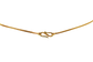 SM17